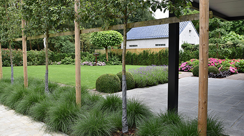 Tuinontwerp regio Mol